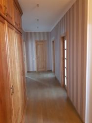 3� ���� 11