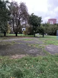 2� ���� 19