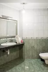 ������ 5-�� ������� �������� �� ����������� ���������� ���� 6