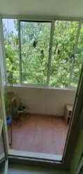 3� ���� 13