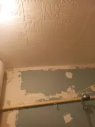 ������ 1�.��.� ����������� ������ ���� ���� 14