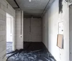 1.5� �������� 55.6� �� ������ ���� ���� 2