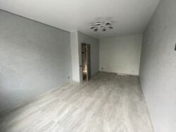 1� ���� 12