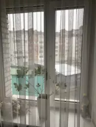 2� ���� 5