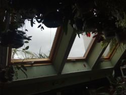 ��������� �������� �����-����������, �����-���������, �������� ���. ���� 10