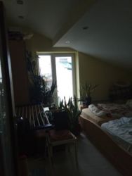 ��������� �������� �����-����������, �����-���������, �������� ���. ���� 8