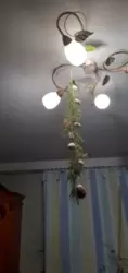 1� ���� 1