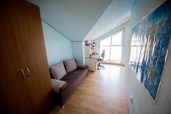 5� ���� 13