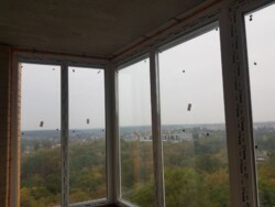 ������ �������� ���������� ��������� ������� 93 600 $ ���� 12