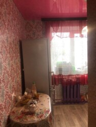 ������ �������� � ����� ���� ���. ������� ���� 14