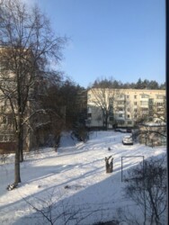 ��������� �������� �����������, ������� ���� 1