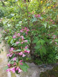 ������ 1 ������� �������� ���� 13