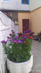 ���������� �������� � ���������� ��������� �� ���.���������� ���� 10