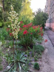 ������ 1 ������� �������� ���� 12