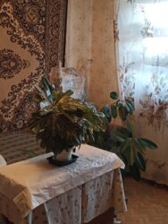 ��������� �������� ������ ���., 28, ������������ (����������), ��������������, ������ ���� 5