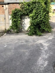 ��������� �������� ������������ (����������), ��������������, ����� ���� 2