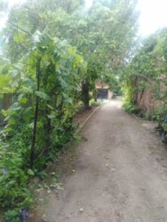 ��������� �������� ������������ (����������), �������������� ���� 2