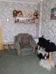 ��������� �������� ������������ (����������), ��������������, 101 ���������� ���� 3