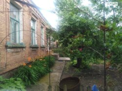 ��������� �������� ������������ (����������), �������������� ���� 1