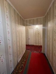 ��������� �������� ������������ (����������), ��������������, ������ ���� 5