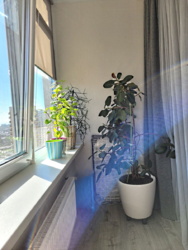 ������� 2 ��������� �������� � ����� ���� �� ������� 49 ��������� ���� 8