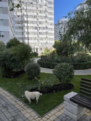 Продам 1 комнатную квартиру. ЖК Альтаир фото 12 Продам 1 комнатную квартиру. ЖК Альтаир фото 12