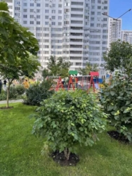 Продам 1 комнатную квартиру. ЖК Альтаир фото 11 Продам 1 комнатную квартиру. ЖК Альтаир фото 11