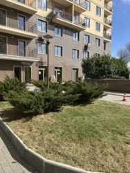 57 �������. 2 ��. �� ����. ����� �������! ���� 10