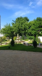 Продам 1к квартиру по вул. Люстдорфська дорога/ 3 ст. Люстдорфської дороги фото 10 Продам 1к квартиру по вул. Люстдорфська дорога/ 3 ст. Люстдорфської дороги фото 10