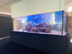     .  .  AQUA MARINE  12