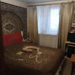 ������ 2� �������� �� ���.������/ ���. ������ ���� 4