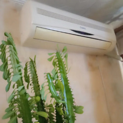 ������ 2� �������� �� ���.������/ ���. ������ ���� 10