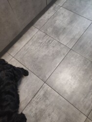  2  .   2