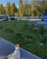 Продається квартира Харківська, Харків, Шевченківський фото 17 Продається квартира Харківська, Харків, Шевченківський фото 17