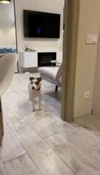 Продається квартира Харківська, Харків, Шевченківський фото 11 Продається квартира Харківська, Харків, Шевченківський фото 11