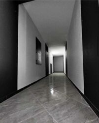  2-    Forest Home  7