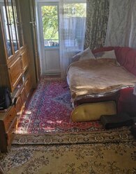 ������ 1� �������� 31 ��. � �� ���. ����������� ���� 1