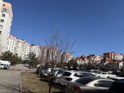 ������ 3-������� ��������, �-� ������ ���� 4