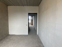  ,     8