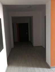  2  55.6 .   .   3