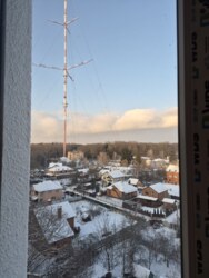 ������ ��������, �� Forest home ���� 7