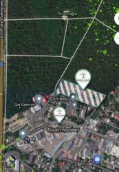  2-    Forest Home  1