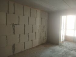 ������ 1-������� ������� � �� 'ѳ������ �������' ���� 8