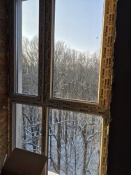 ������ ��������, �� Forest home ���� 10