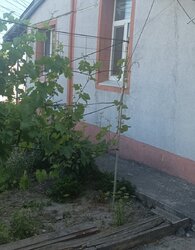  2  51 .   .    10