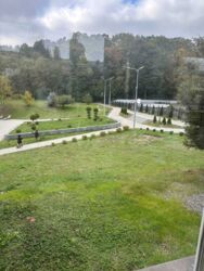  2-    Forest Home  5