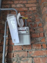 ������ ��������, �� Forest home ���� 8