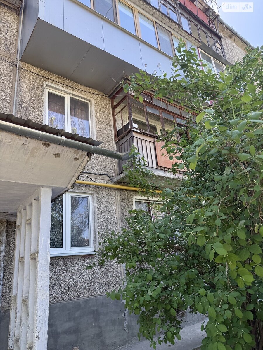 ��������� �������� ��������, 67, �������, �����������, ����������, ����� ���� 1