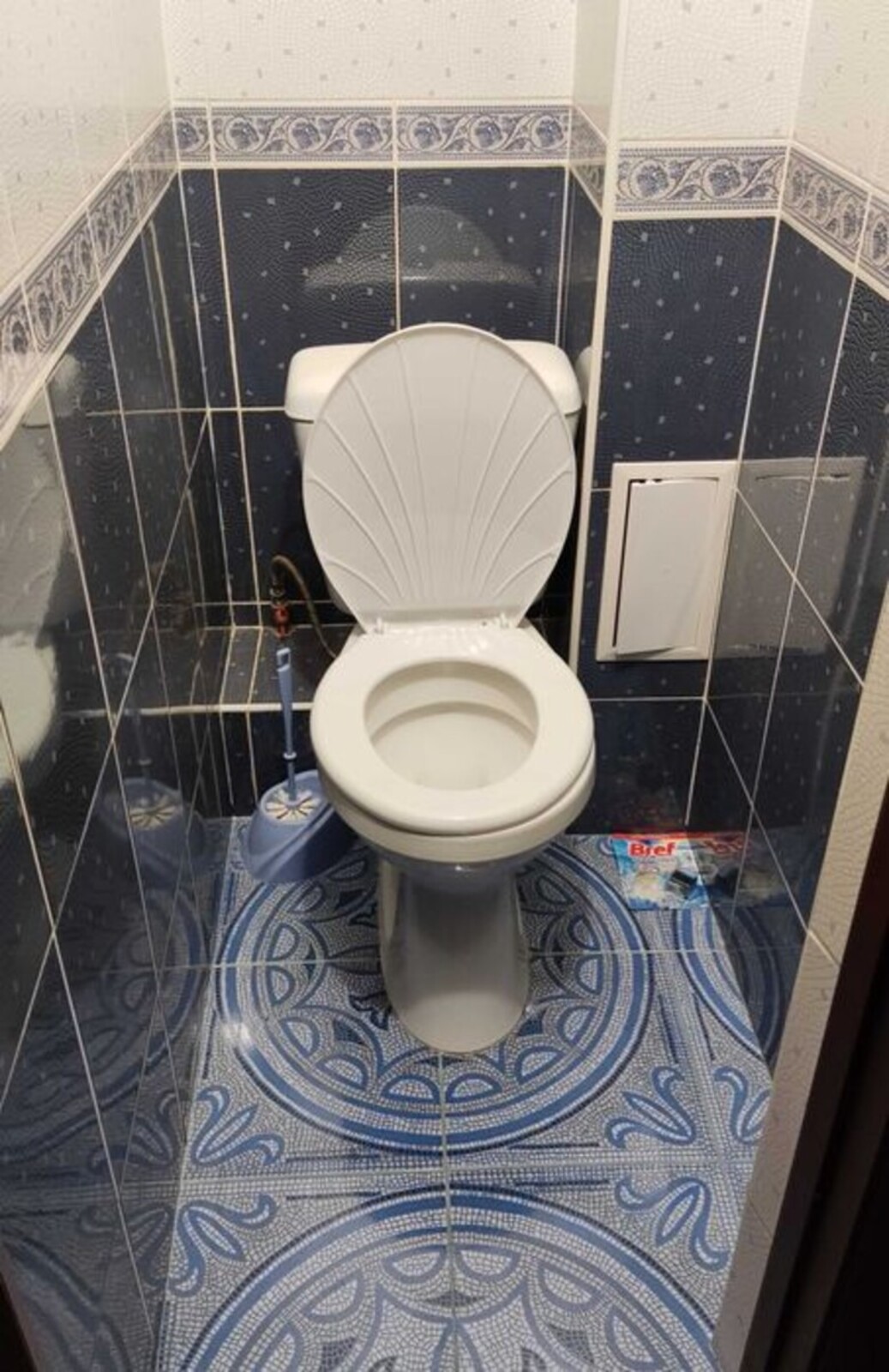 ��������� �������� ���, �������, �����������, ����������� ���� 1