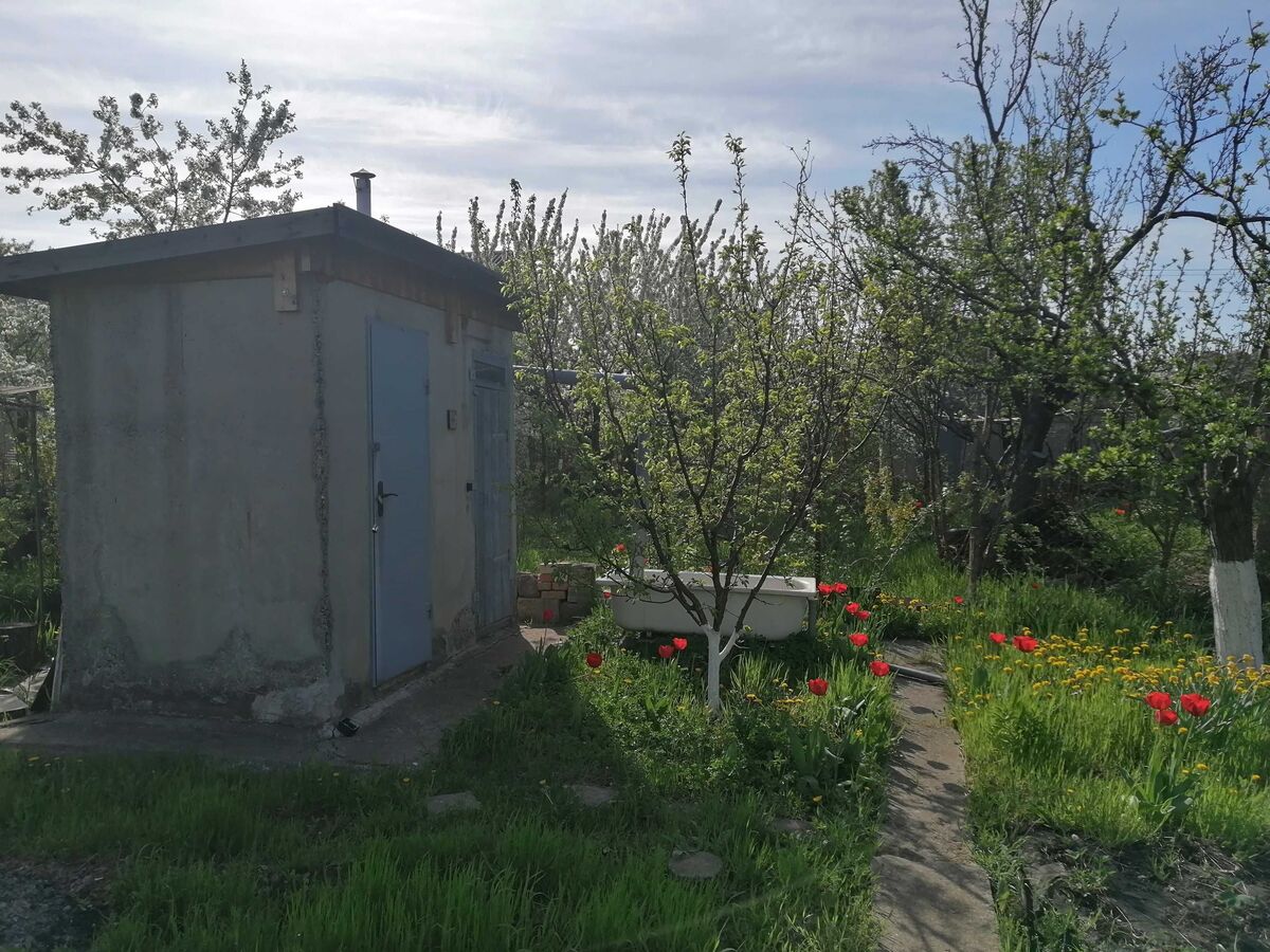 ��������� �������� ���� �������, �������, ����������� ���� 1